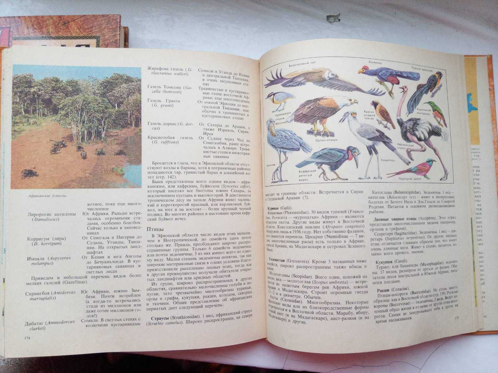 Книга Животный мир Земли У. Зедлаг 1975г
