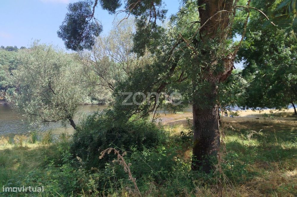 Terreno Com Frente De Rio - Mondego