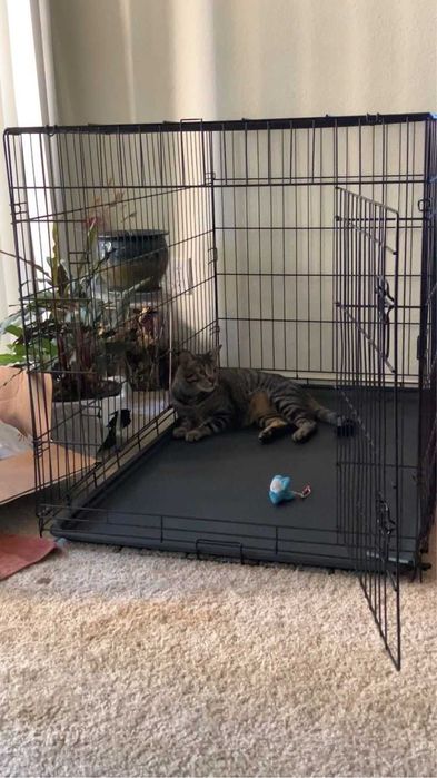 Клітка вольер переноска домик место клетка для собак кошек птиц.‼️