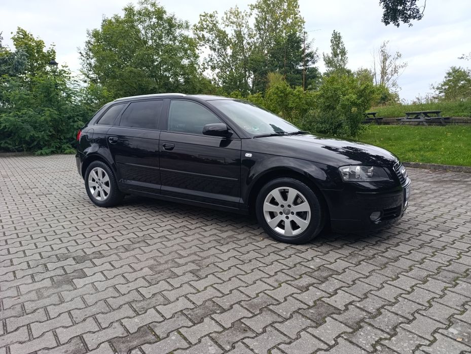 Audi A3 2.0 TDI 170KM Skóra Klima Elektryka Czarny sufit ŁADNA ZADBANA