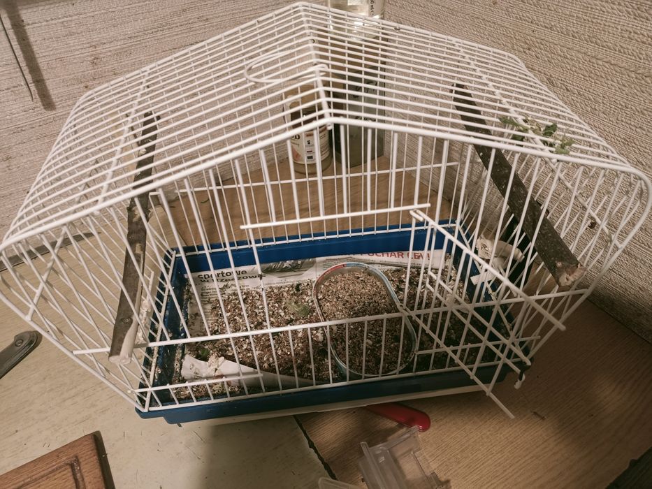 Klatka dla ptaka mała