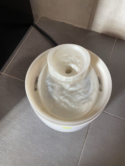 Fonte de Água - Animais