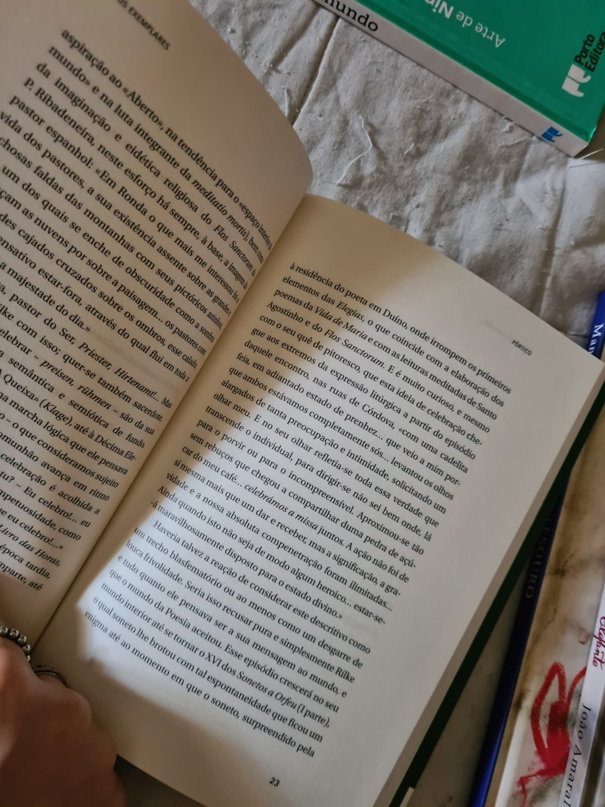 Livro: Contos Exemplares de Sophia de Mello Breyner Andresen