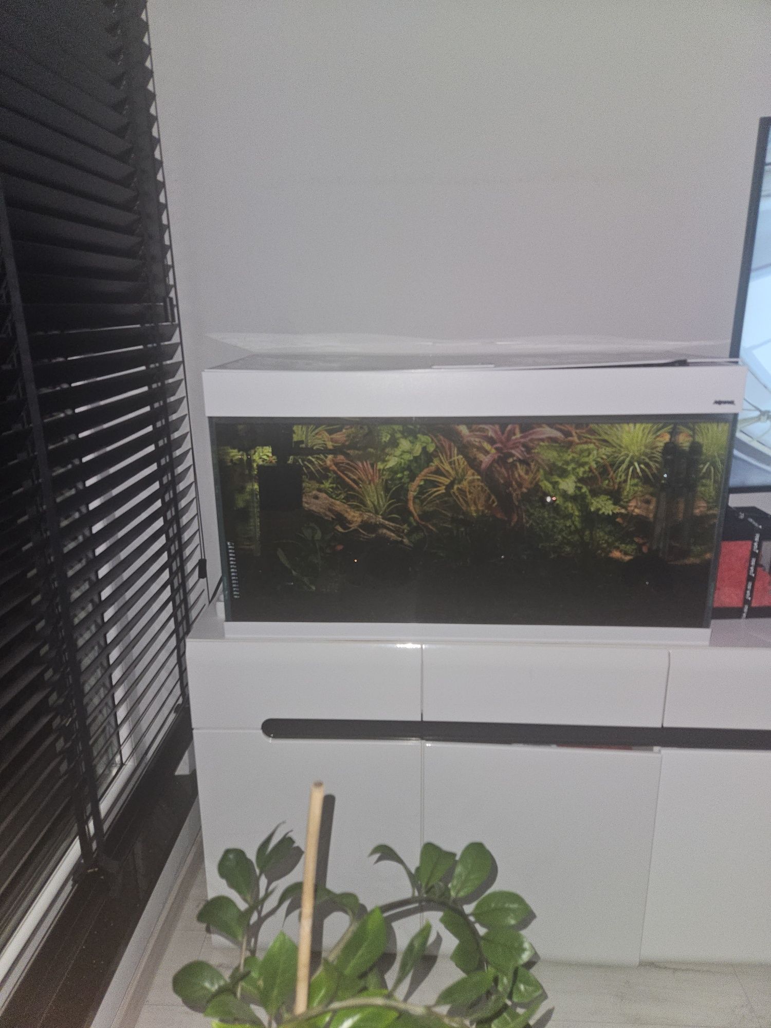Akwarium 215l aquael