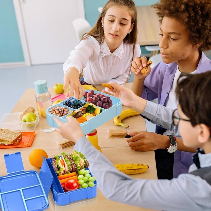 lunchbox pojemnik na żywność śniadaniówka 1550ml