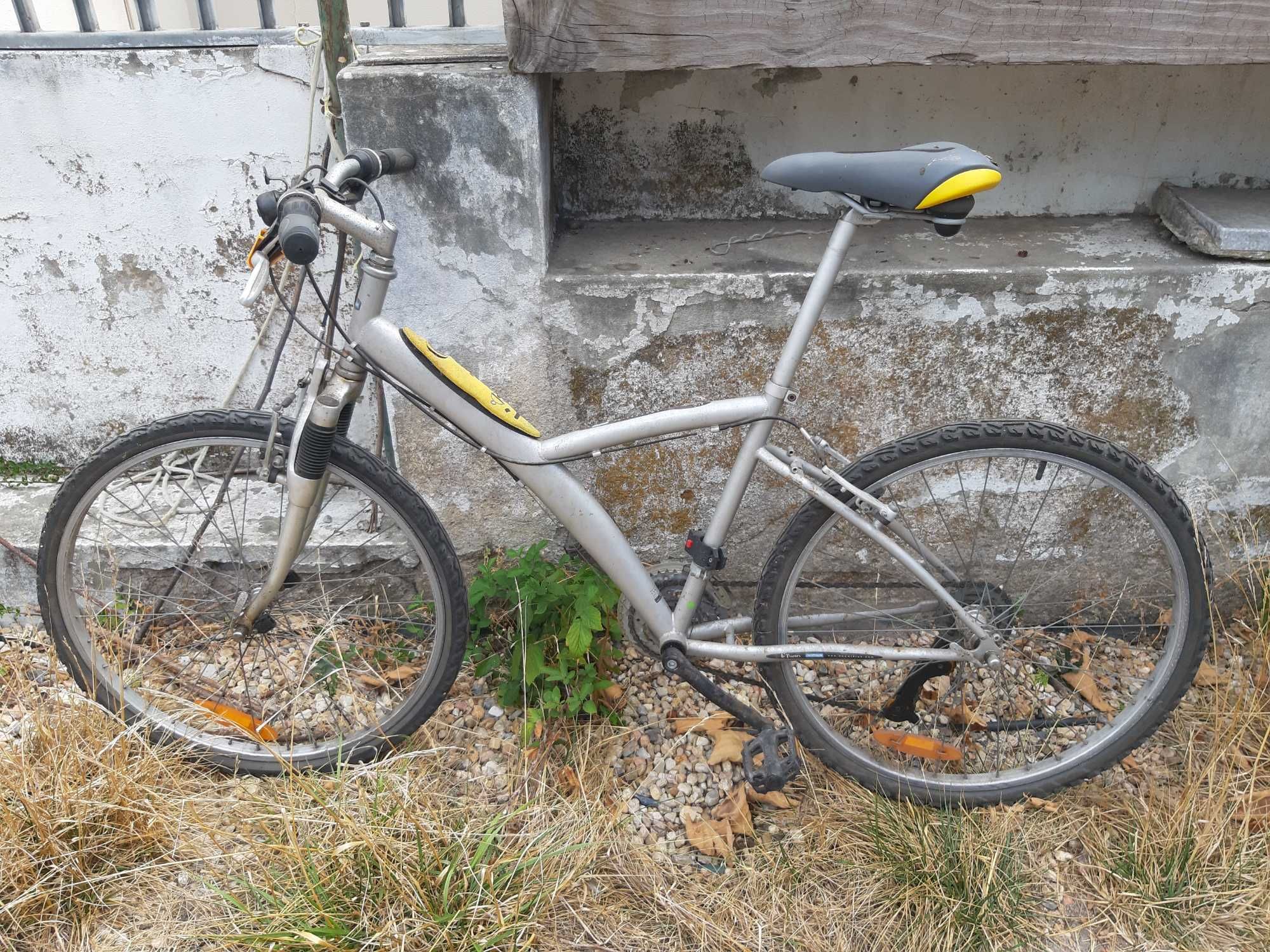 Bicicletas de adulto