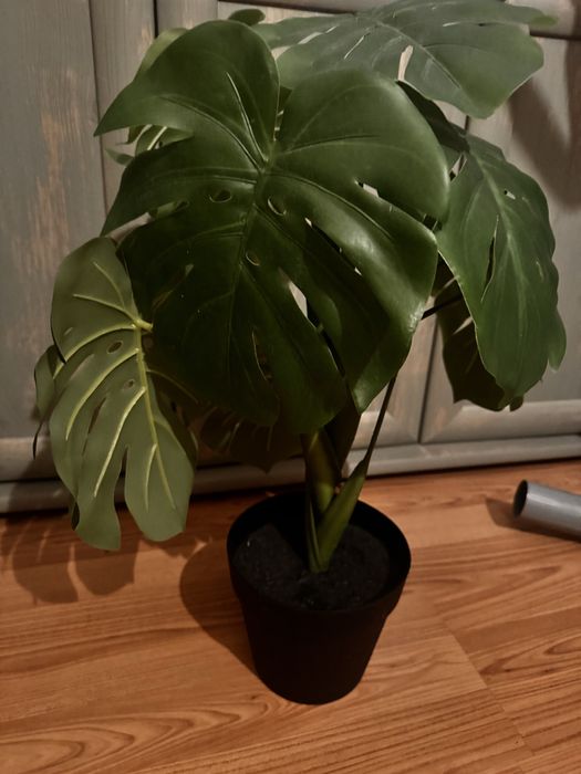 Monstera sztuczny kwiat ciagle modny duzy pepco