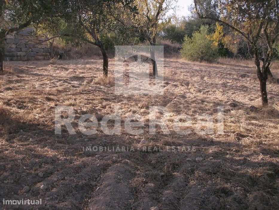 Terreno rústico, Loulé
