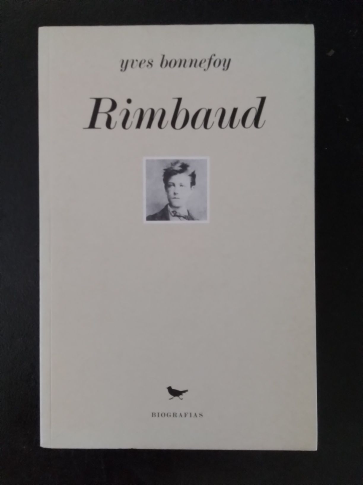 RIMBAUD - Yves Bonnefoy (Cotovia Biografias)