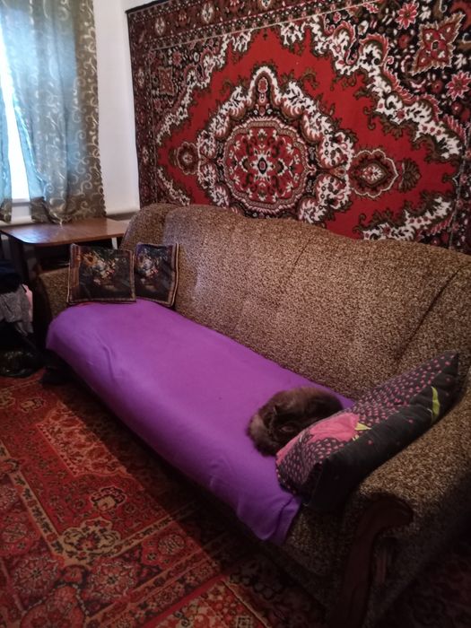 Продам будинок м. Синельникове