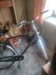 Rower trekkingowy Giant 28cal opony shwalbe