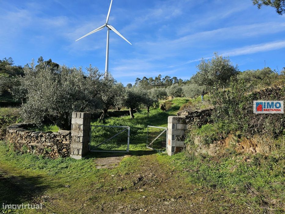 Quinta c/ 3.500m2 -  Cebolais de Cima-Retaxo