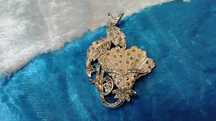 Broche vintage ingles 6 cm.