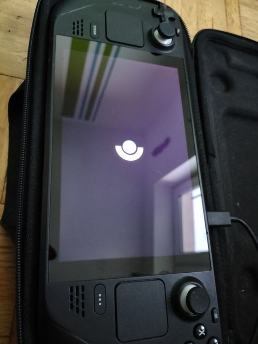 Steamdeck Stan Idealny