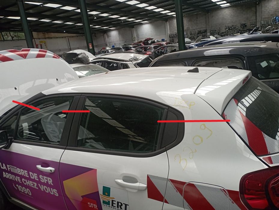 Tejadilho CITROËN C3 III Van (SX_, SY_)