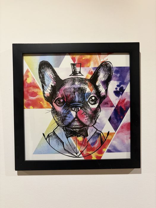 Quadro cachorro com chapéu