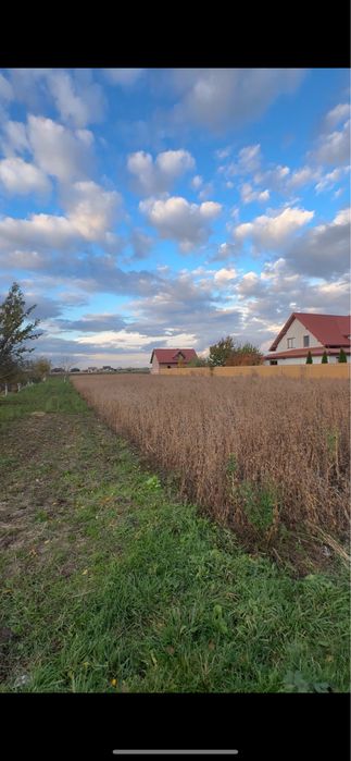 Продаж ділянки під забудову в Новоставі вул.Вишнева