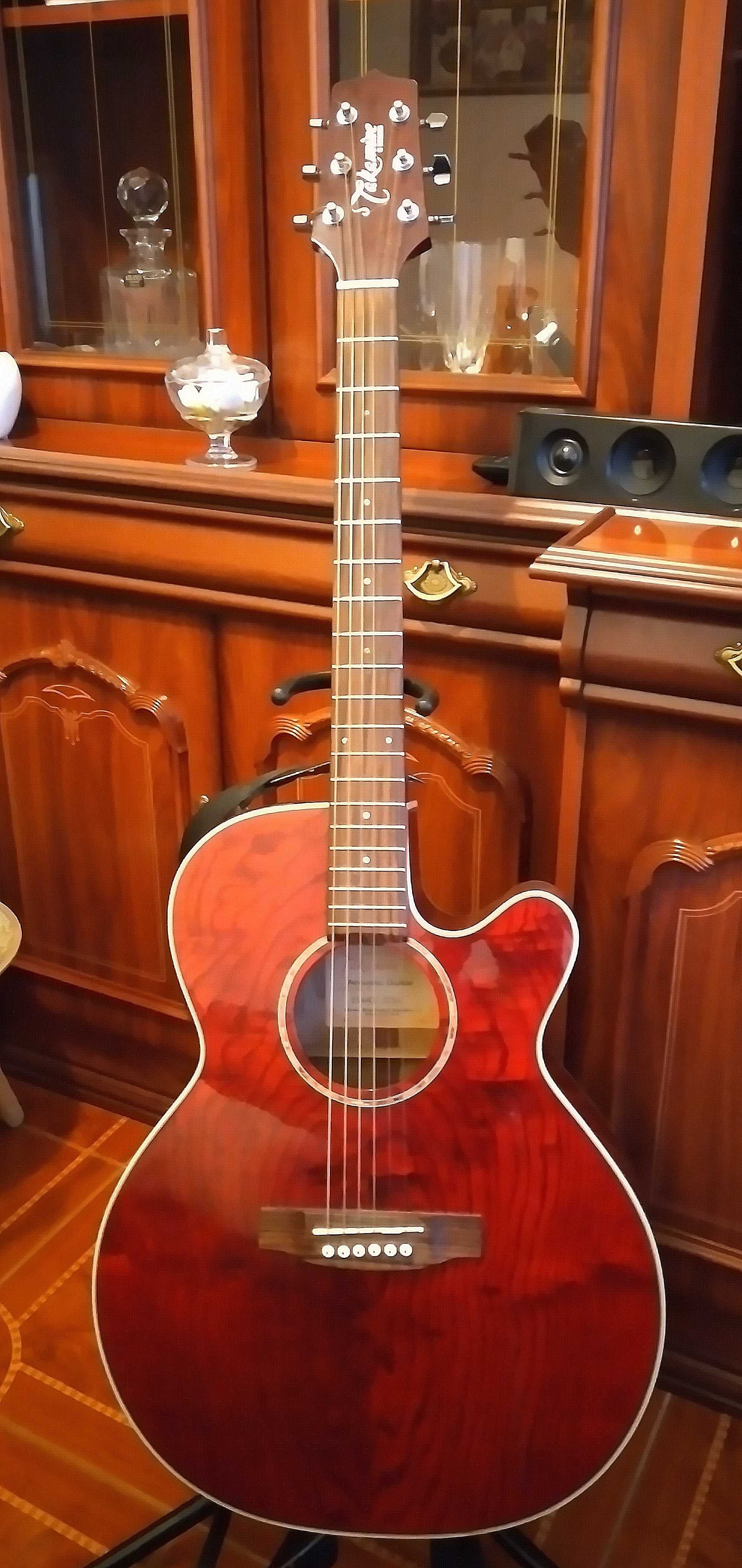 Takamine G SERIES