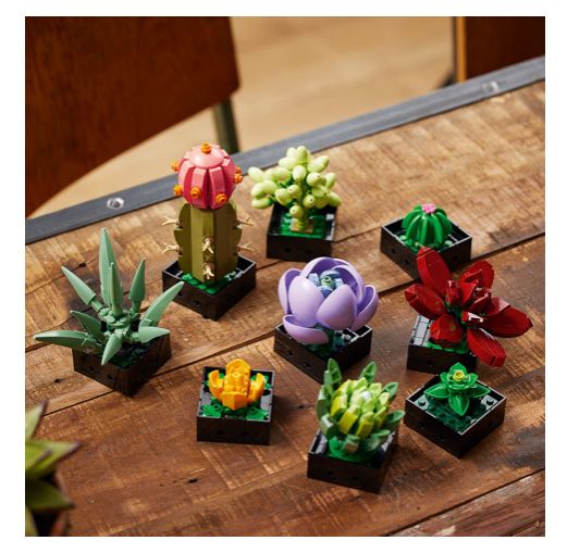 LEGO Botanicals Сукуленти