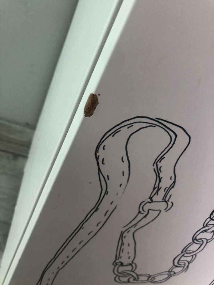 Komplet mebli dls nastolatki