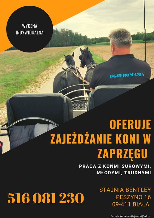 Zajeżdżanie koni w zaprzęgu