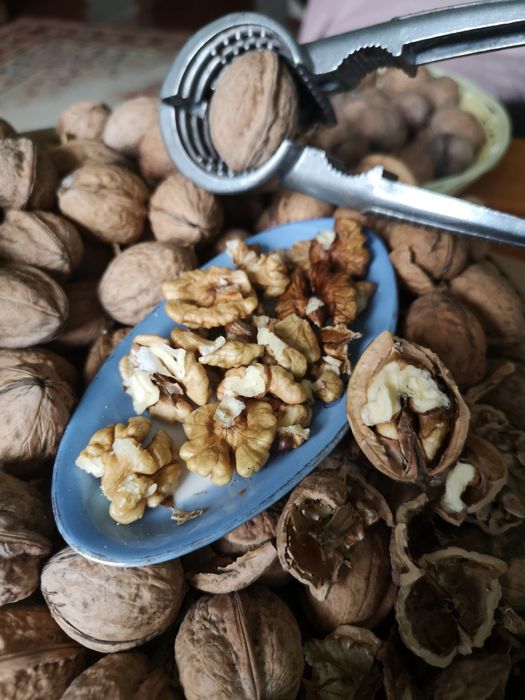 Волоський горіх Грецкий орех свежий урожай 2025