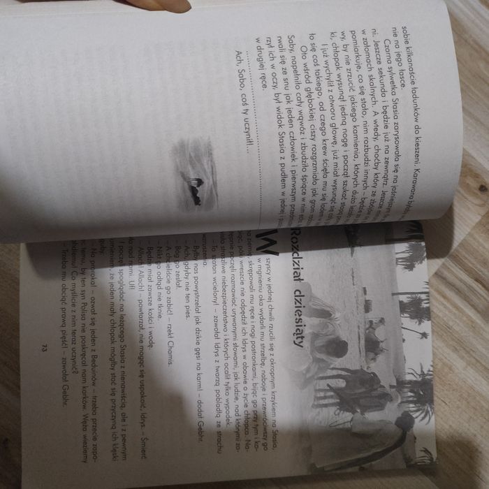 W pustyni i w puszczy Henryk Sienkiewicz