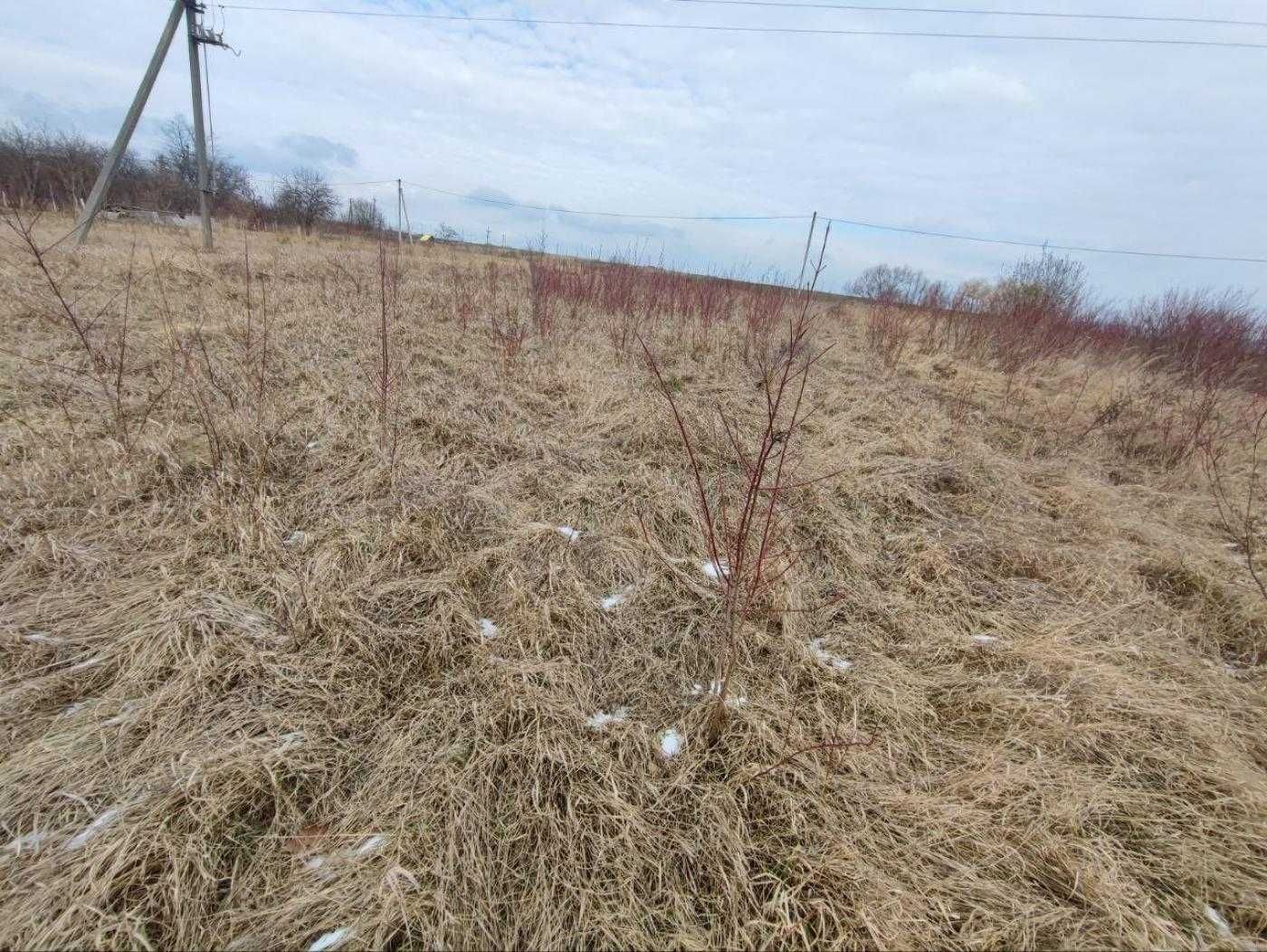 Продається земля 16 сот під Будівництво, Угринів.