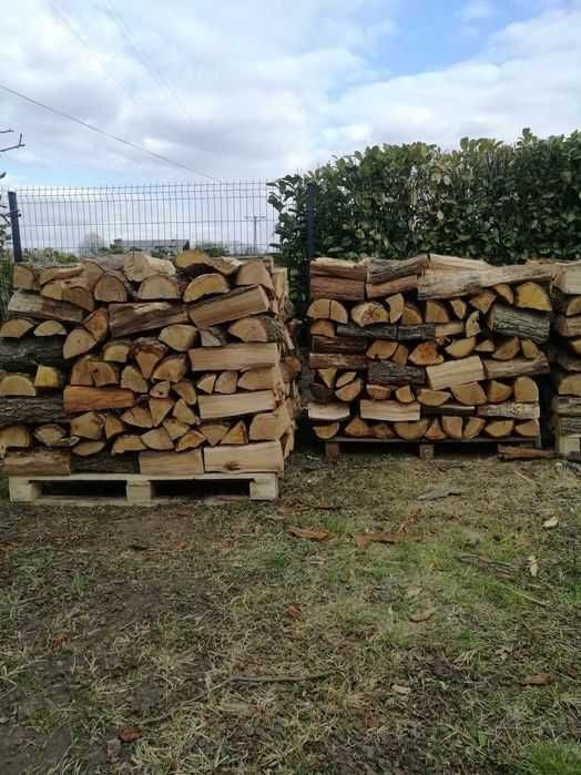 Drewno kominkowe dab