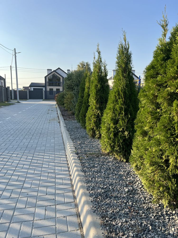 Продаж будинку . Білогородка