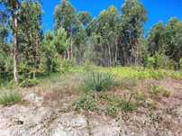 Terreno  para venda