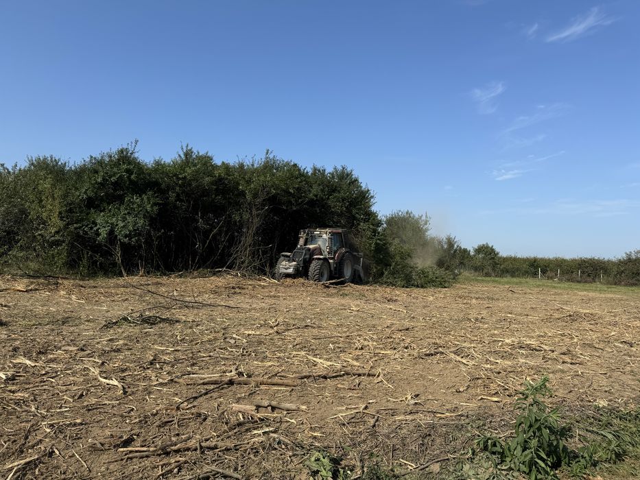 Mulczer powierzchniowy wgłebny frez czyszczenie działek wycinka drzew
