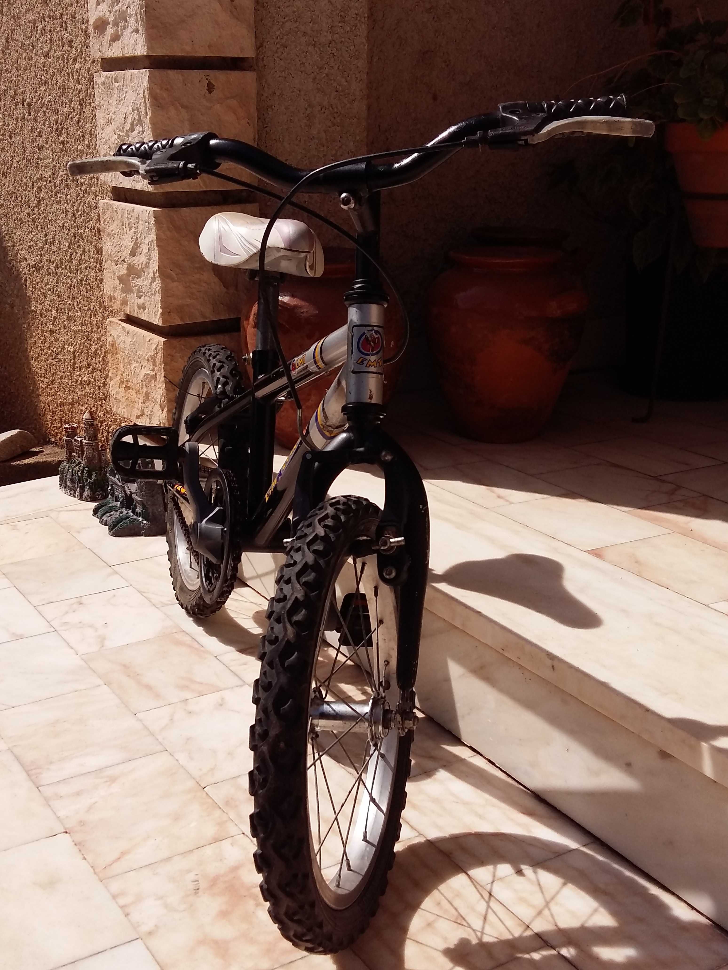 Bicicleta de Criança - Esmaltina