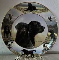 Elegancki Royal Doulton Labrador Pies Talerz Porcelanowy Vintage Obraz