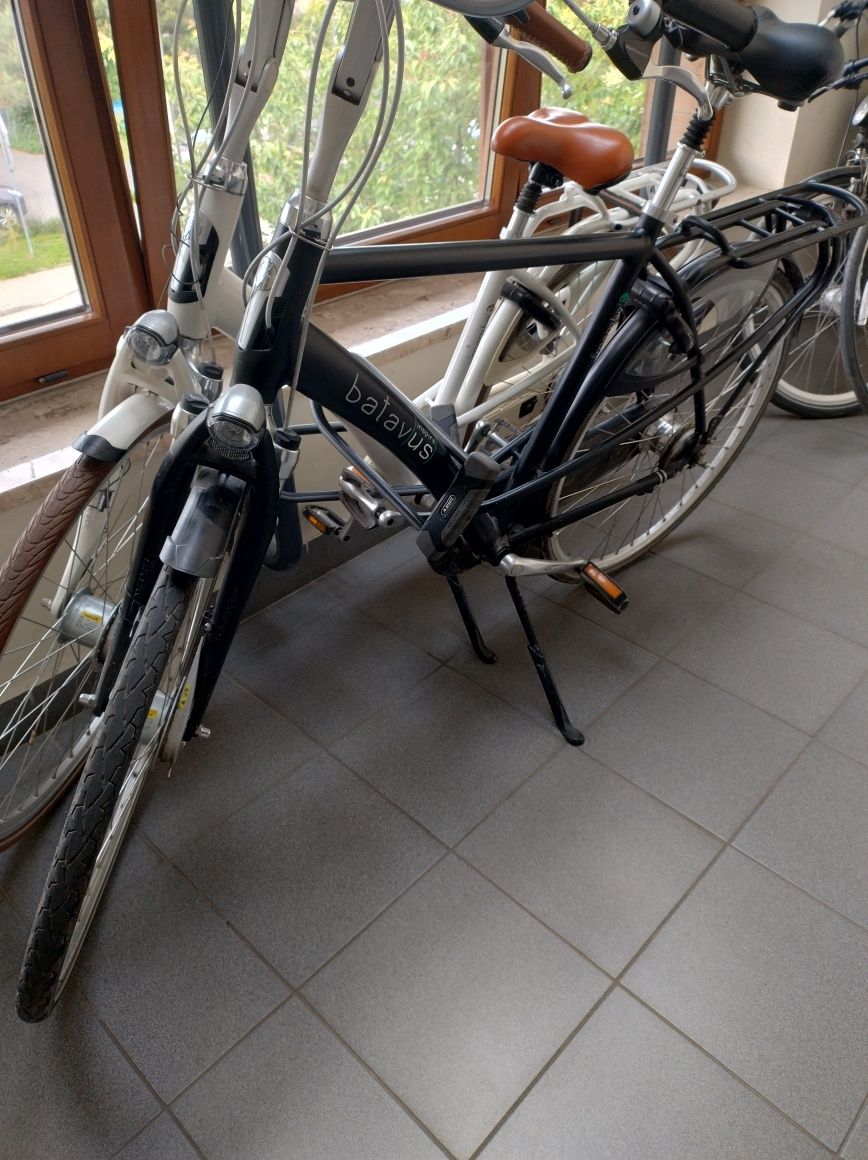 Męski Batavus mambo rozm. 57