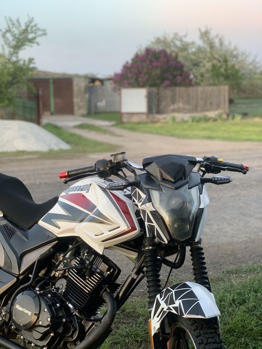 Мустанг Регион 200 | Musstang Region 200