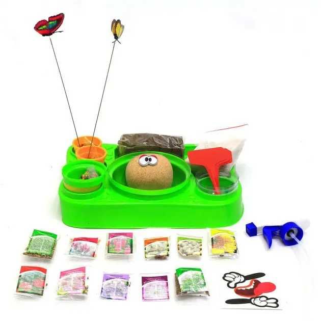 Набор для выращивания растений Danko Toys Home Florarium HFL-01-01