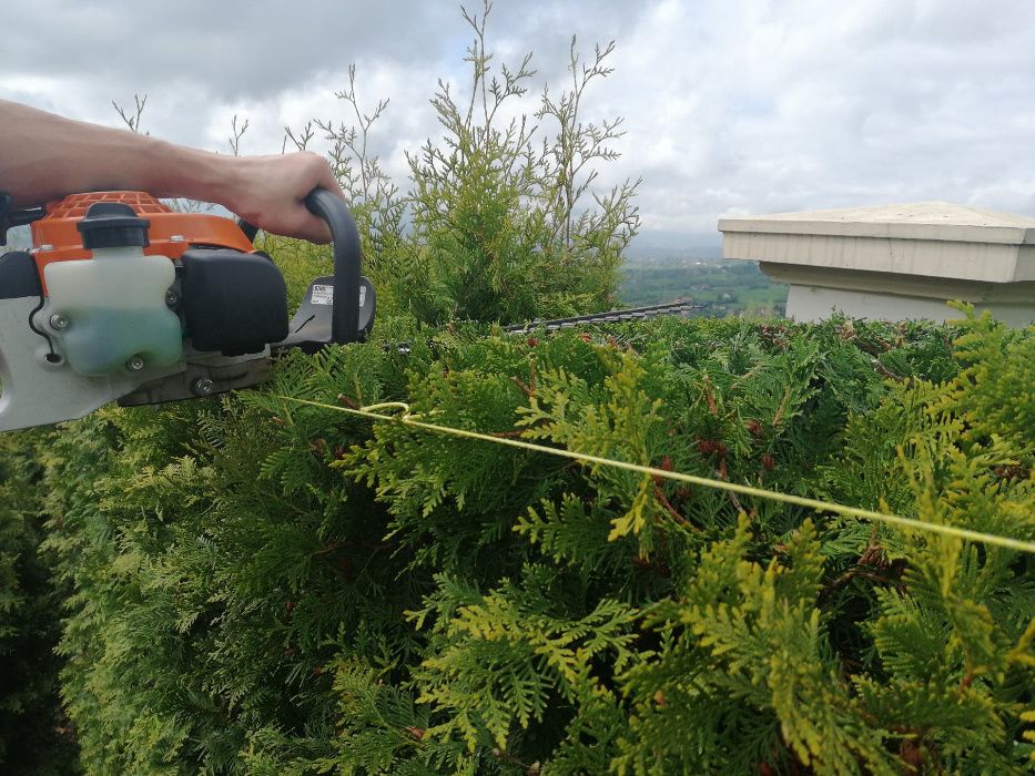Usługi ogrodniczo-transportowe, czyszczenie działek
