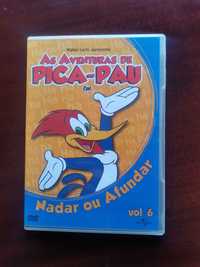 DVD " As Aventuras de Pica-Pau em Nadar ou Afundar " Vol. 6