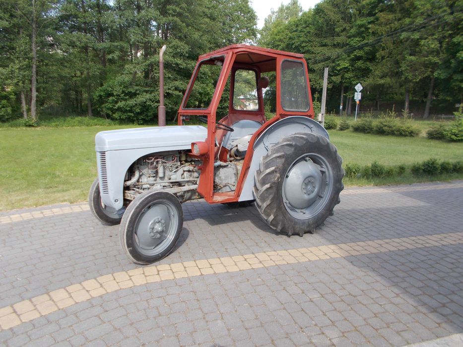 Ferguson TED 20 benzyna