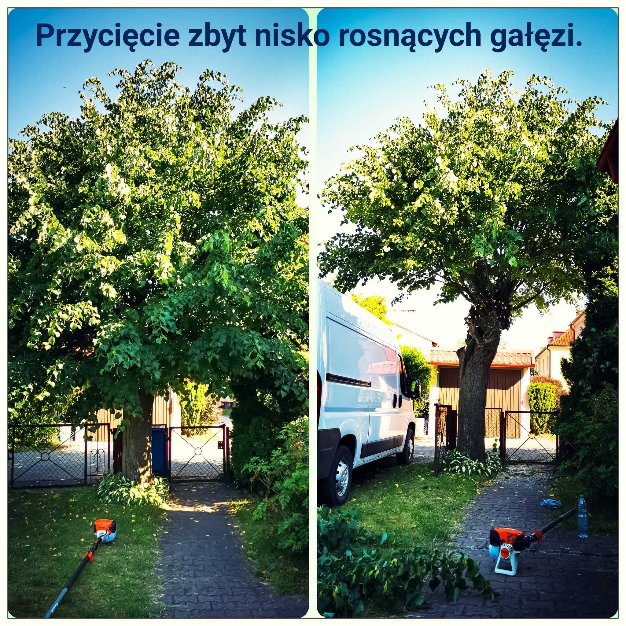 Zakładanie, wertykulacja trawnika, przycinanie, koszenie trawy!