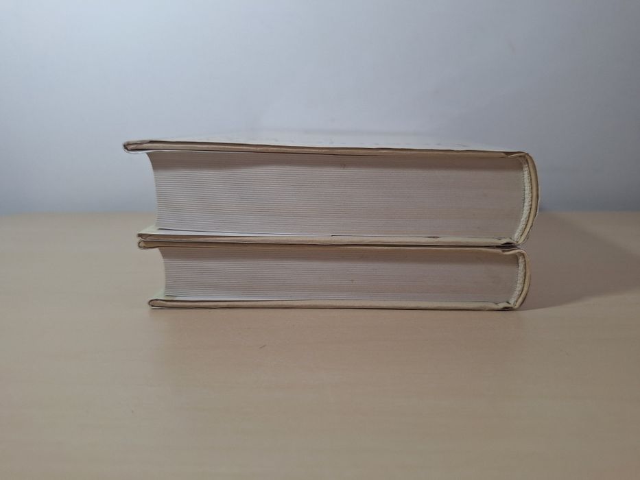 Fiodor Dostojewski Bracia Karamazow