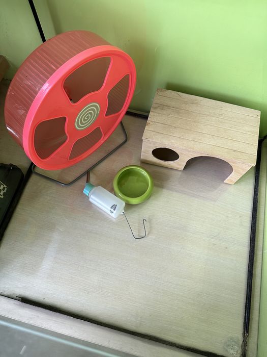 Продам всё для хомяка. Колесо, миска, поилка, домик.