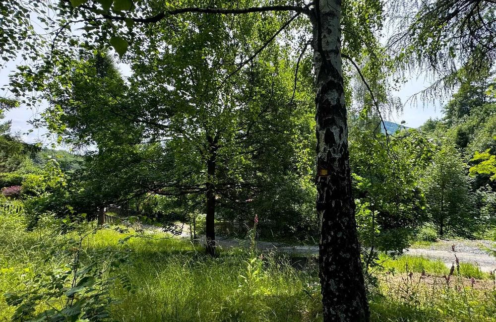 Działka budowlana wśród zieleni w cichej okolicy - Szczyrk