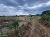Terreno  para venda