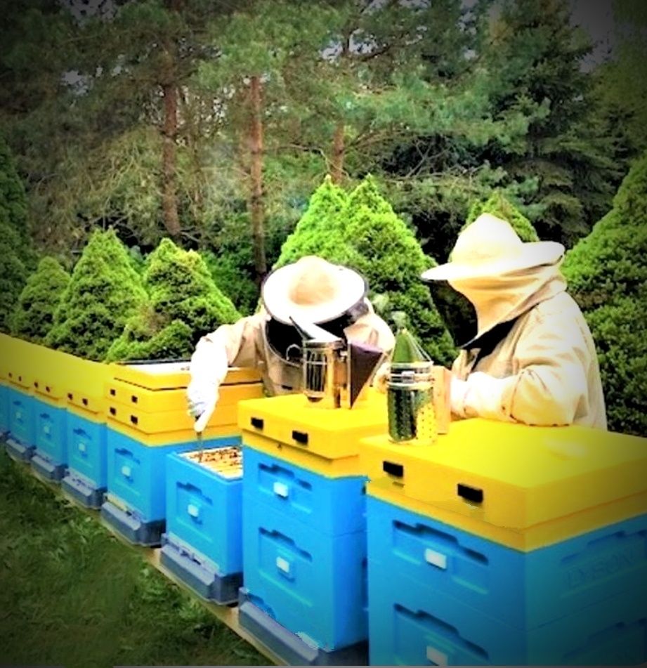 Pyłek Pszczeli, Propolis, wosk pszczeli, miód naturalny,