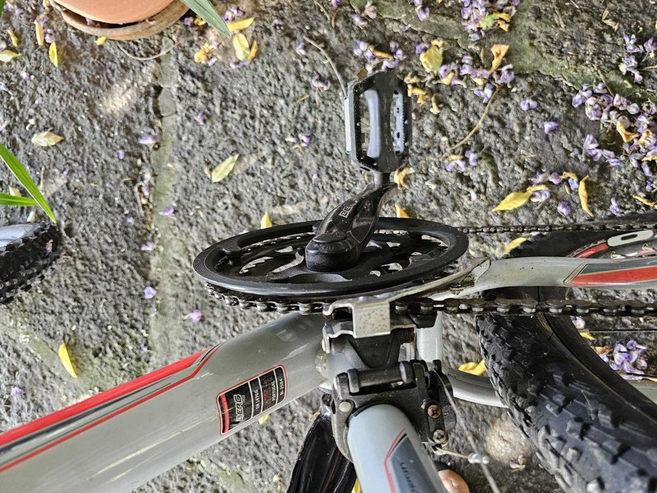 Bicicleta Berg Trail Rock