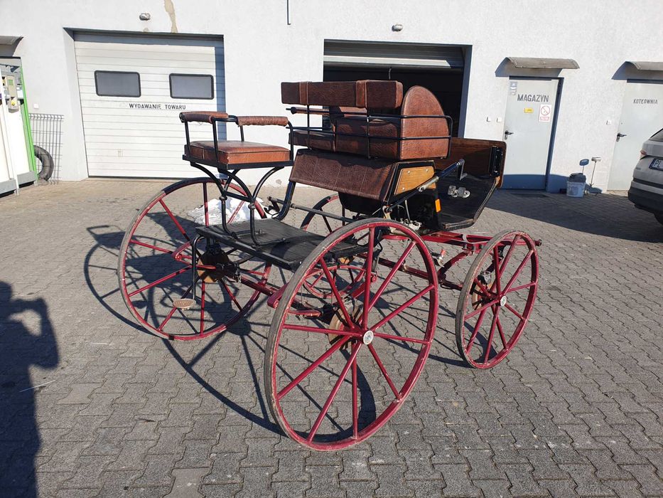 Bryczka spaider powóz  treningowy para i singiel