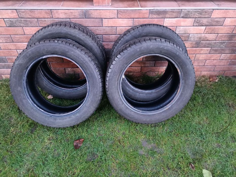 Opony zimowe Dębica Frigo 205/55R16
