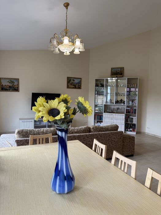 Продам дом в песчанке , река, бассейн